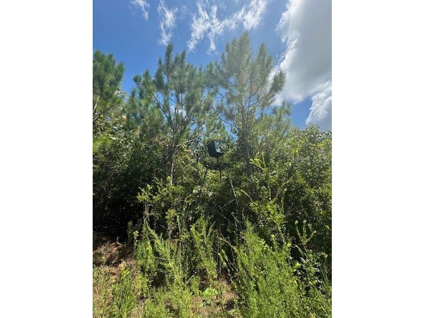 SW Coles Court Fort White FL 32038 G5101028 image14