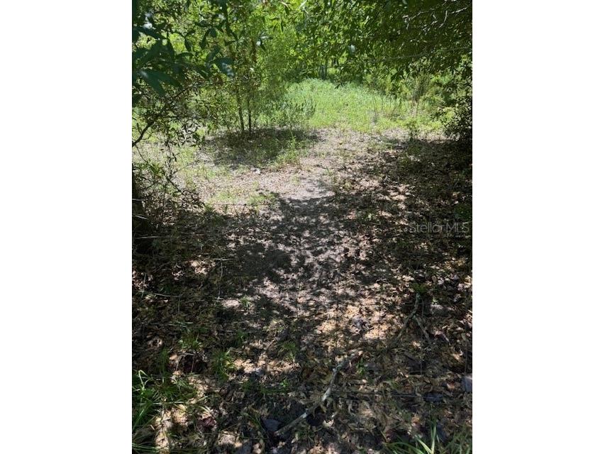 SW Coles Court Fort White FL 32038 G5101028 image15