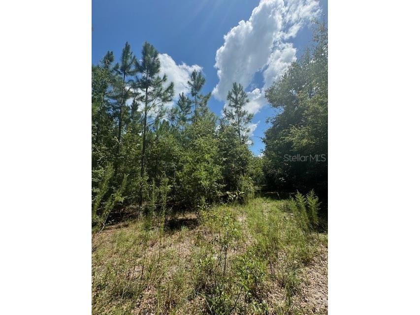 SW Coles Court Fort White FL 32038 G5101028 image16