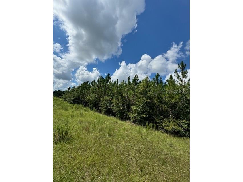 SW Coles Court Fort White FL 32038 G5101028 image2