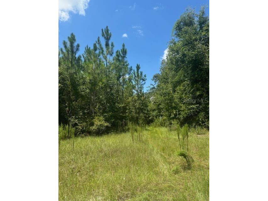 SW Coles Court Fort White FL 32038 G5101028 image22