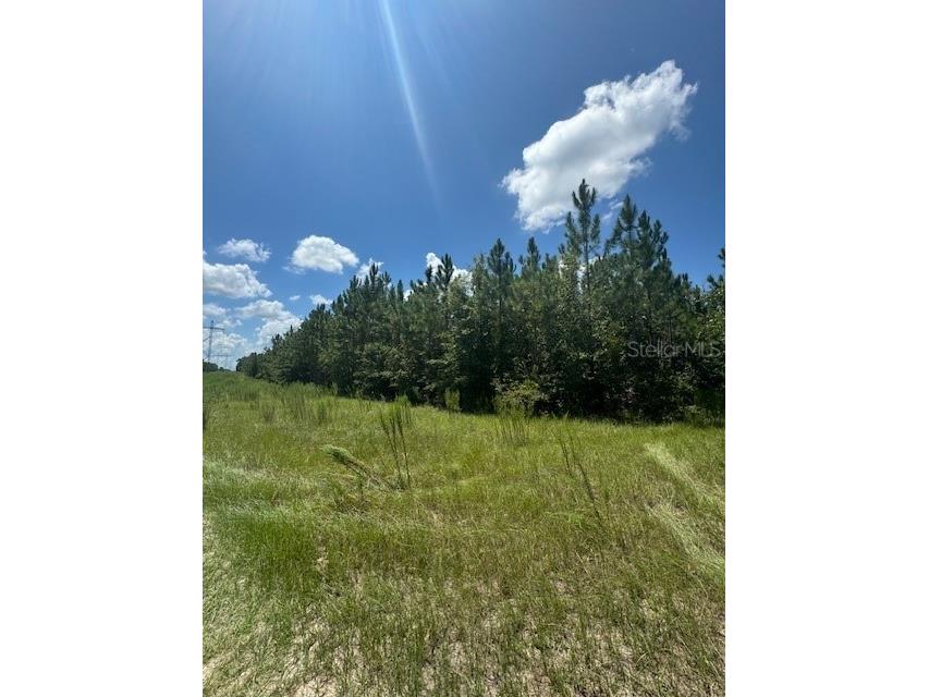 SW Coles Court Fort White FL 32038 G5101028 image23