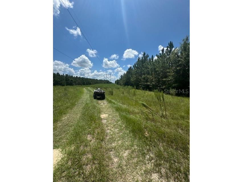 SW Coles Court Fort White FL 32038 G5101028 image24