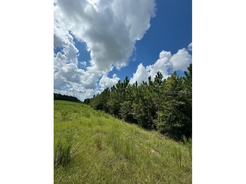 SW Coles Court Fort White FL 32038 G5101028 image3