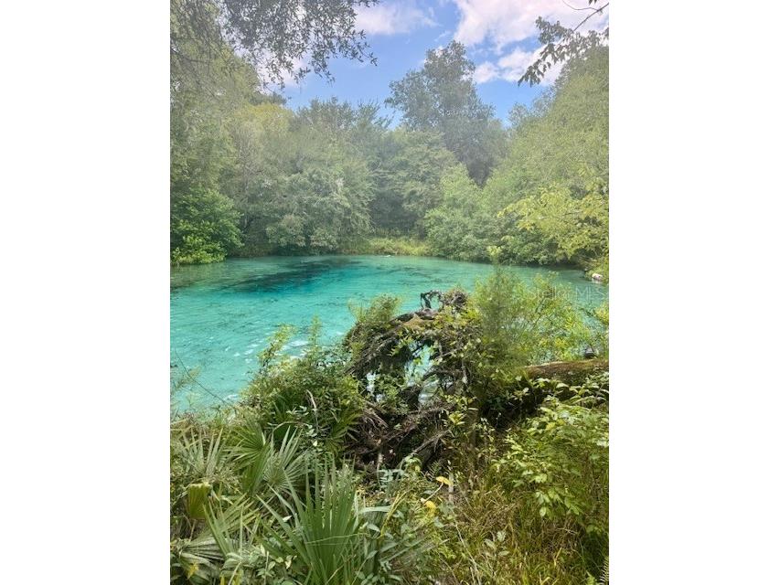 SW Coles Court Fort White FL 32038 G5101028 image35