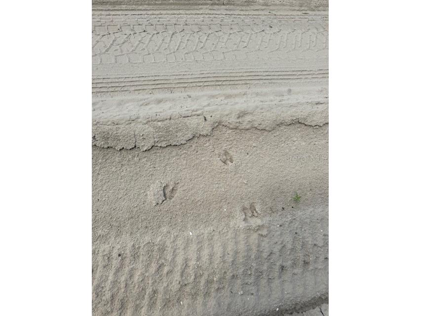 SW Coles Court Fort White FL 32038 G5101028 image4