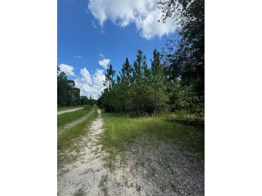 SW Coles Court Fort White FL 32038 G5101028 image5