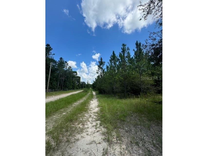 SW Coles Court Fort White FL 32038 G5101028 image7