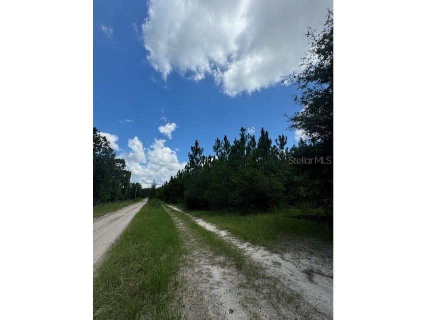 SW Coles Court Fort White FL 32038 G5101028 image8