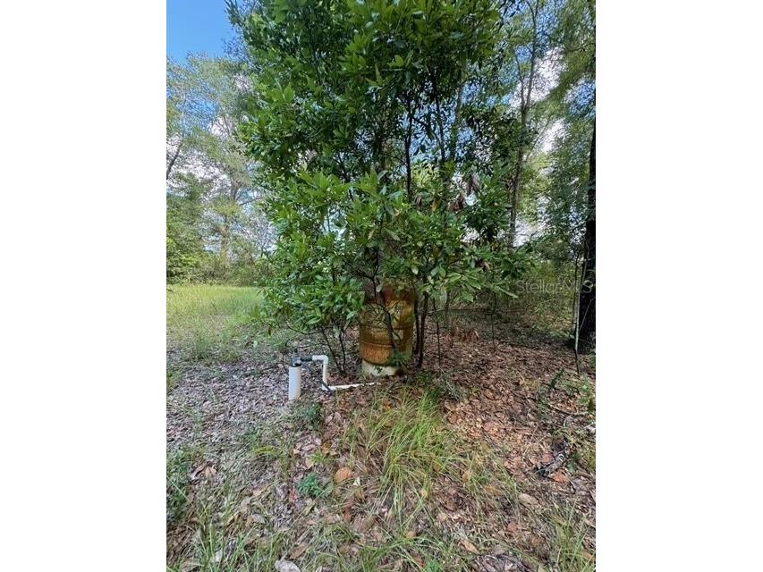 SW Coles Court Fort White FL 32038 G5101074 image10