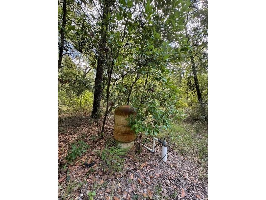 SW Coles Court Fort White FL 32038 G5101074 image11