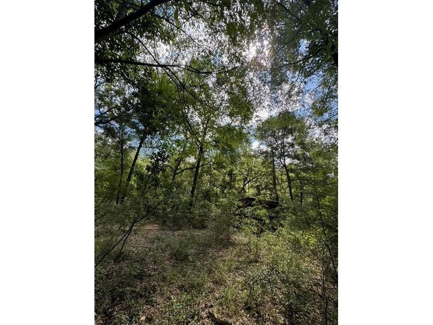 SW Coles Court Fort White FL 32038 G5101074 image12