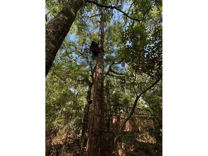 SW Coles Court Fort White FL 32038 G5101074 image14