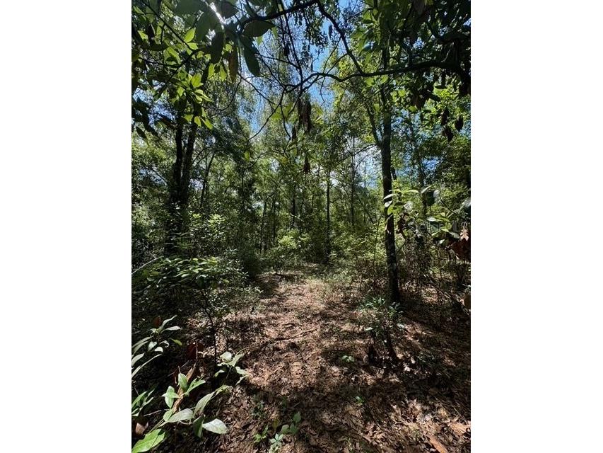 SW Coles Court Fort White FL 32038 G5101074 image15