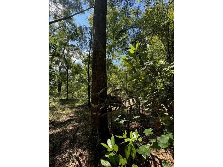 SW Coles Court Fort White FL 32038 G5101074 image16