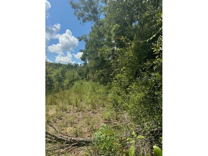 SW Coles Court Fort White FL 32038 G5101074 image18