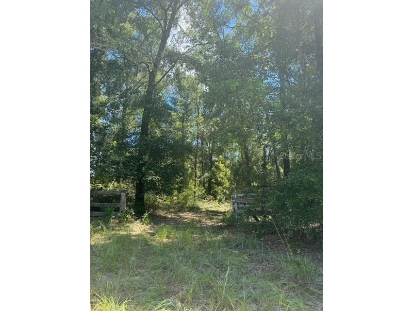 SW Coles Court Fort White FL 32038 G5101074 image2