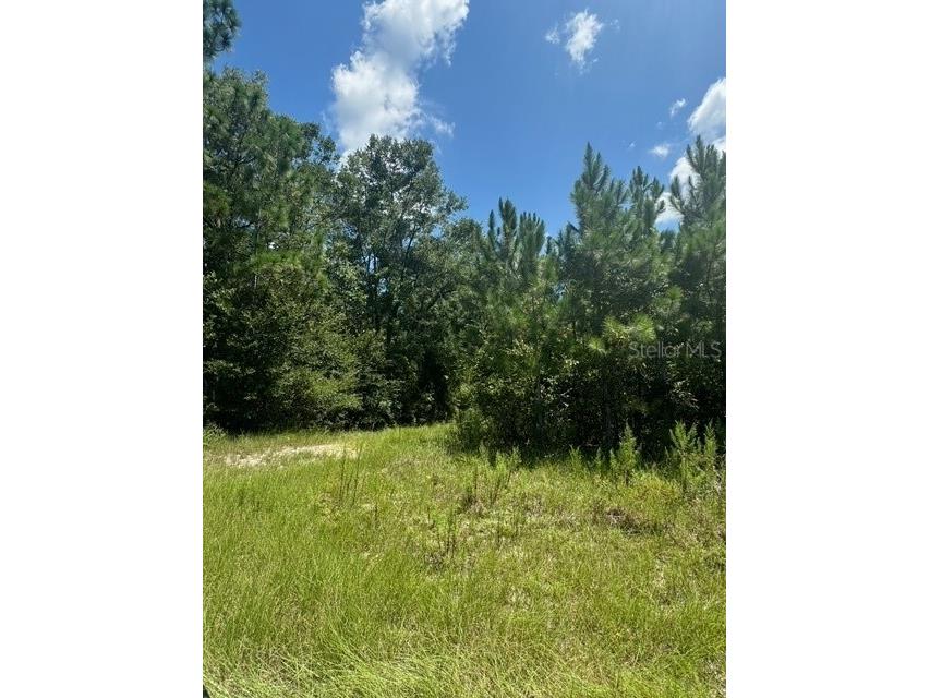 SW Coles Court Fort White FL 32038 G5101074 image22