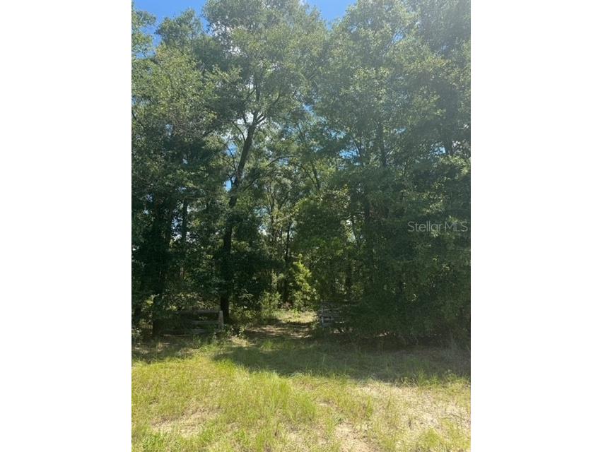 SW Coles Court Fort White FL 32038 G5101074 image23