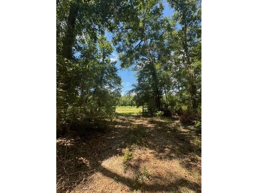 SW Coles Court Fort White FL 32038 G5101074 image24