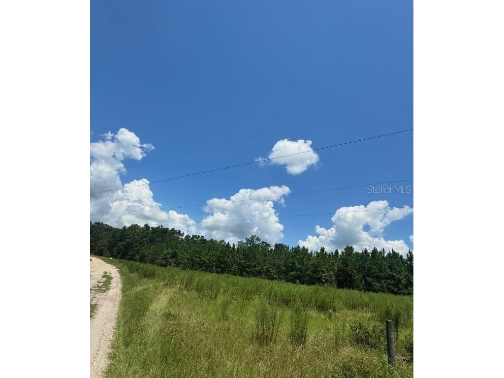 SW Coles Court Fort White FL 32038 G5101074 image25