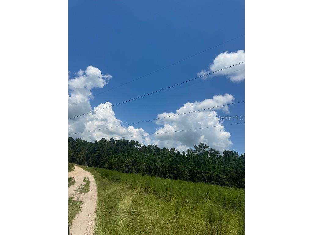 SW Coles Court Fort White FL 32038 G5101074 image26