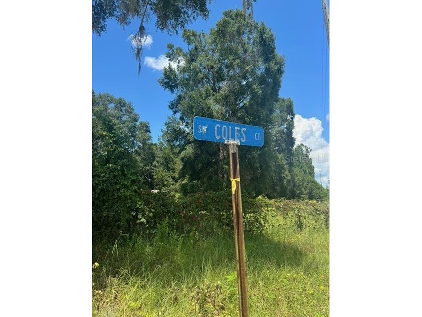 SW Coles Court Fort White FL 32038 G5101074 image27