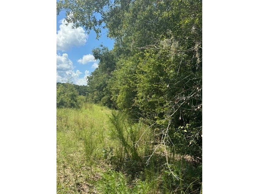 SW Coles Court Fort White FL 32038 G5101074 image3