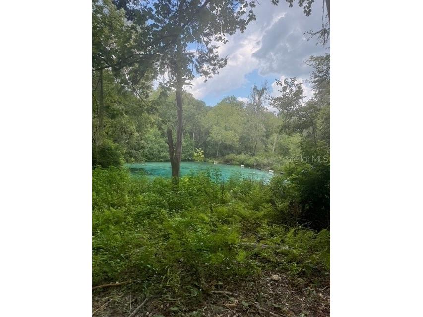 SW Coles Court Fort White FL 32038 G5101074 image33