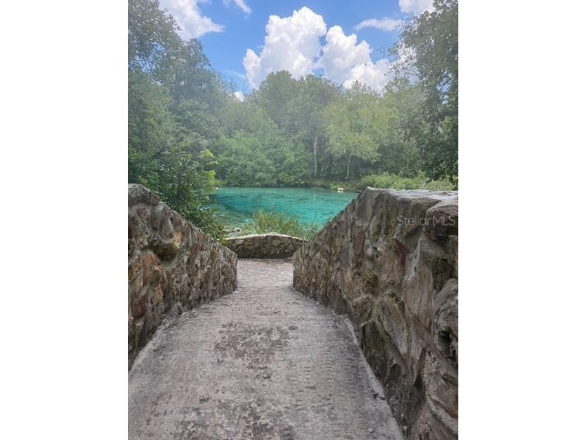 SW Coles Court Fort White FL 32038 G5101074 image34