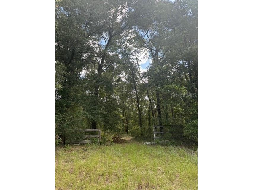 SW Coles Court Fort White FL 32038 G5101074 image7