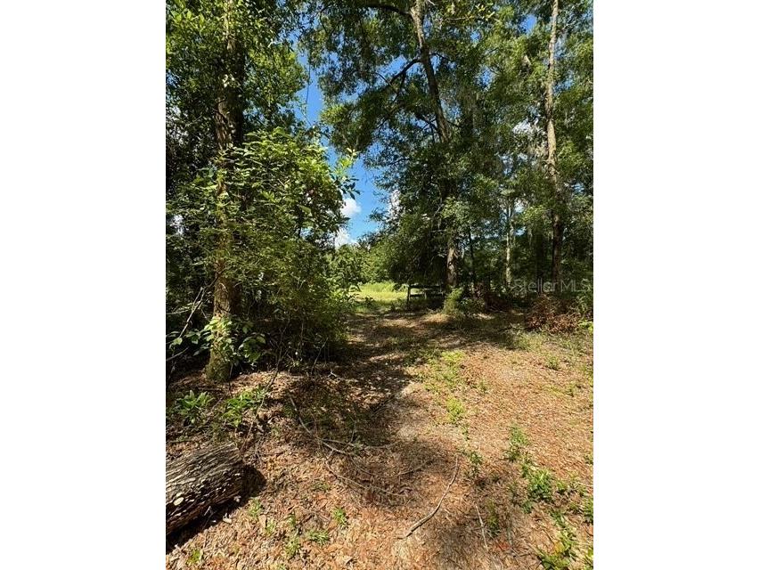 SW Coles Court Fort White FL 32038 G5101074 image9