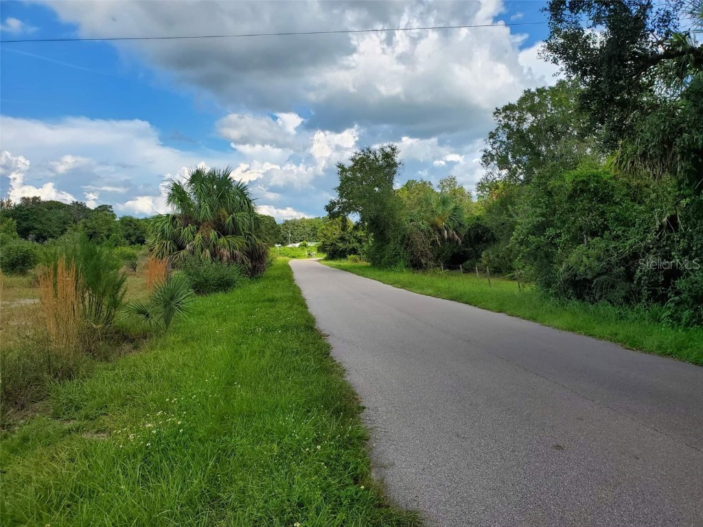 SW Collins Street Arcadia FL 34269 A4547521 image1