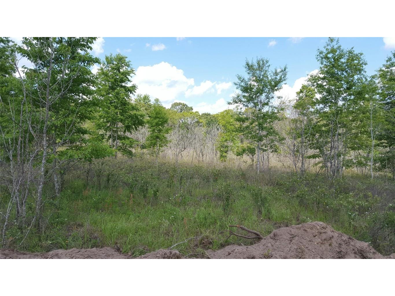 SW County Road 242a Lake City FL 32056 GC518669 image1