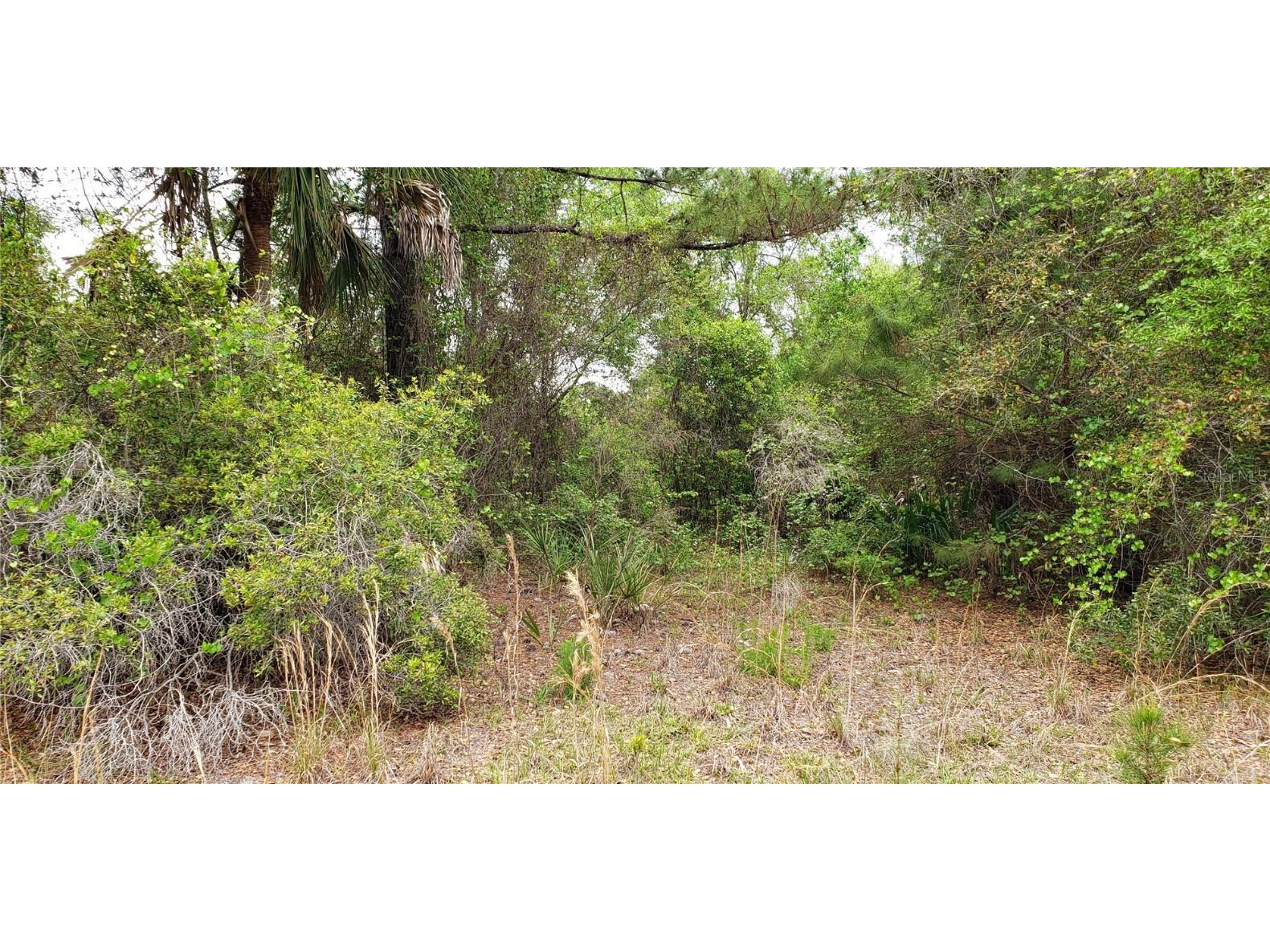 SW County Road 242a Lake City FL 32056 GC518669 image3