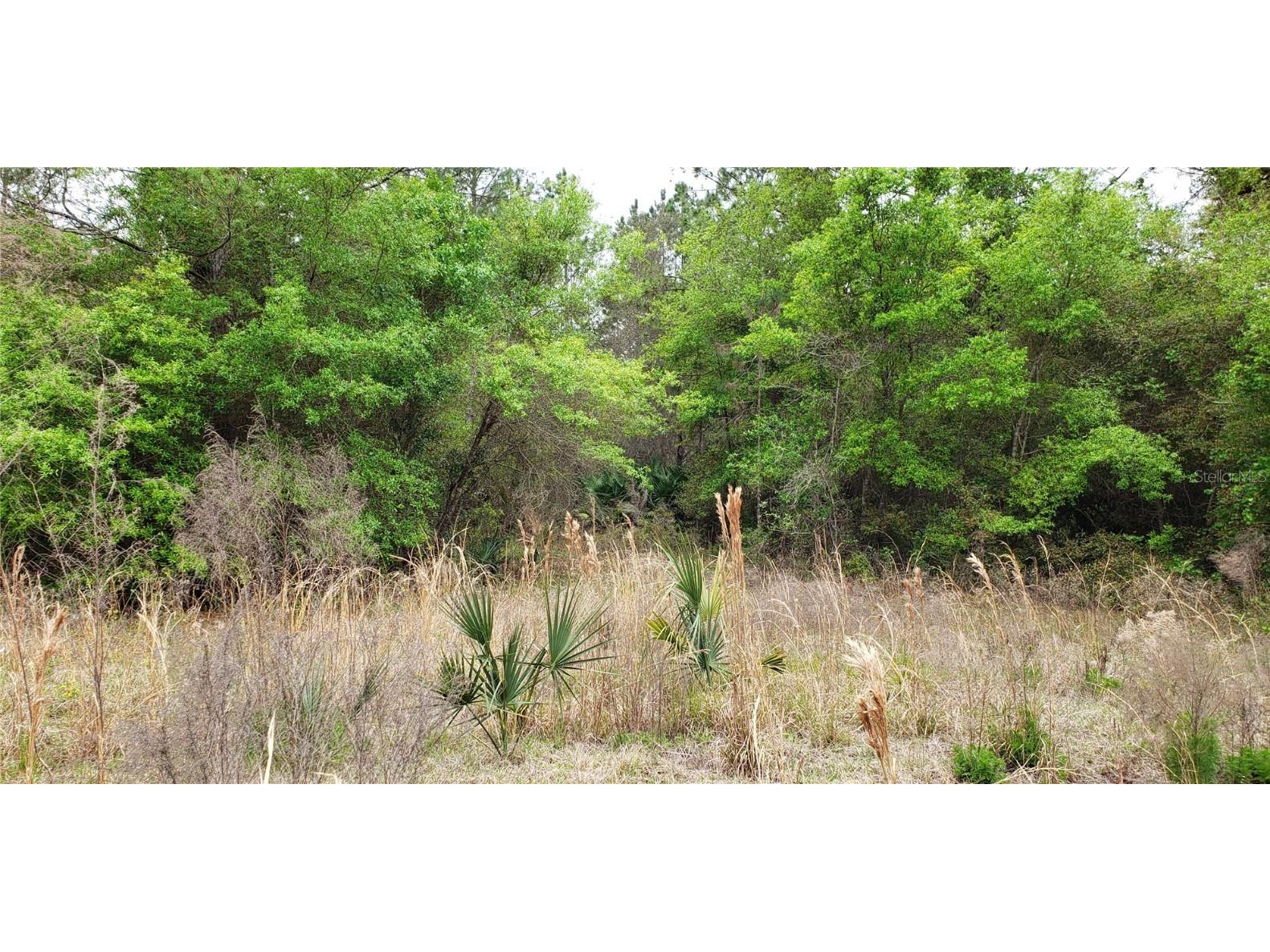 SW County Road 242a Lake City FL 32056 GC518669 image4