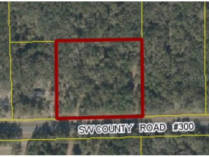 SW County Road 300 Mayo FL 32066 GC520092 image1