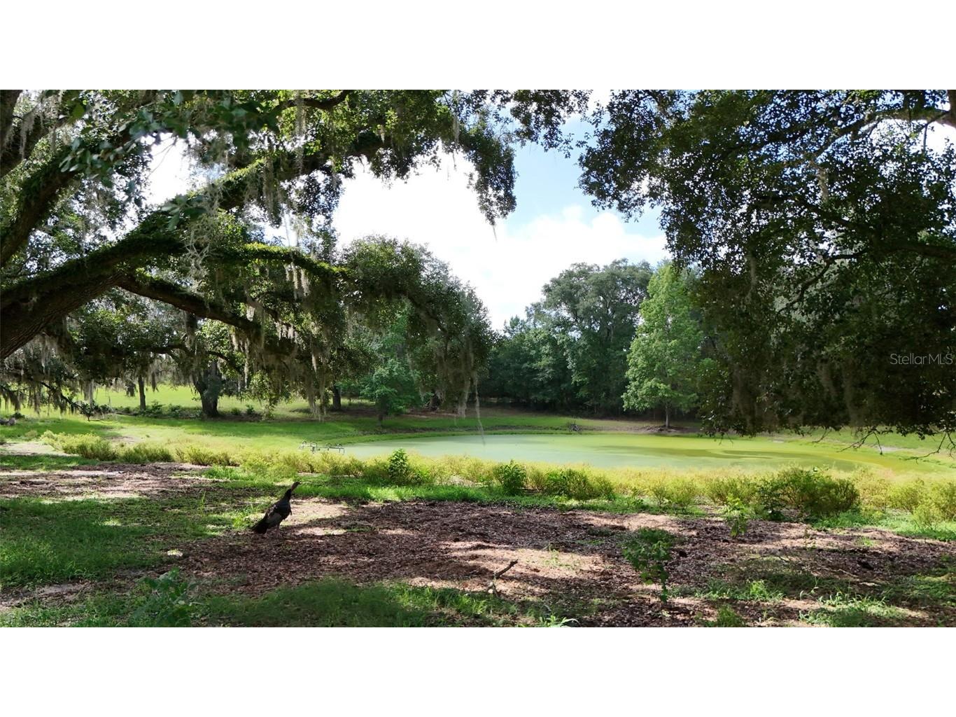 SW County Road 778 Fort White FL 32038 GC533522 image1