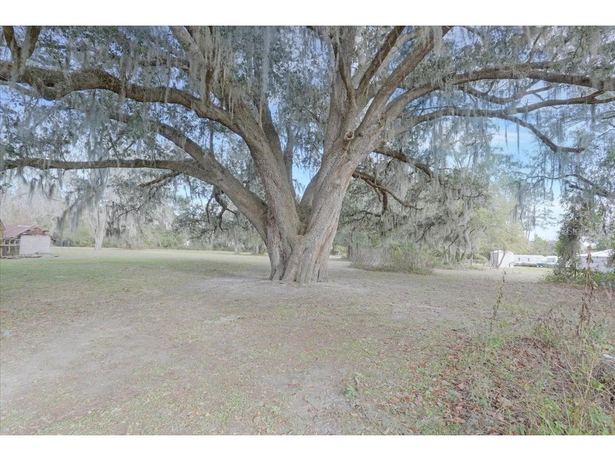SW County Road 791 Lake Butler FL 32054 GC536183 image2