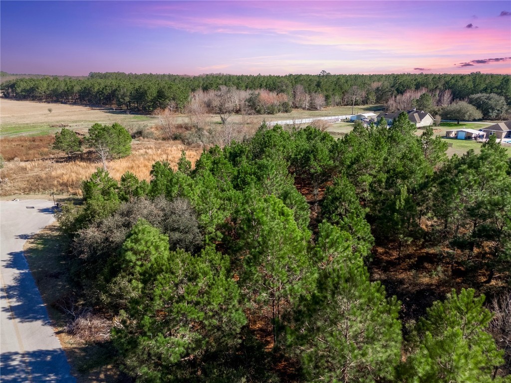 SW Cr 241 Lake Butler FL 32054 GC528043 image1