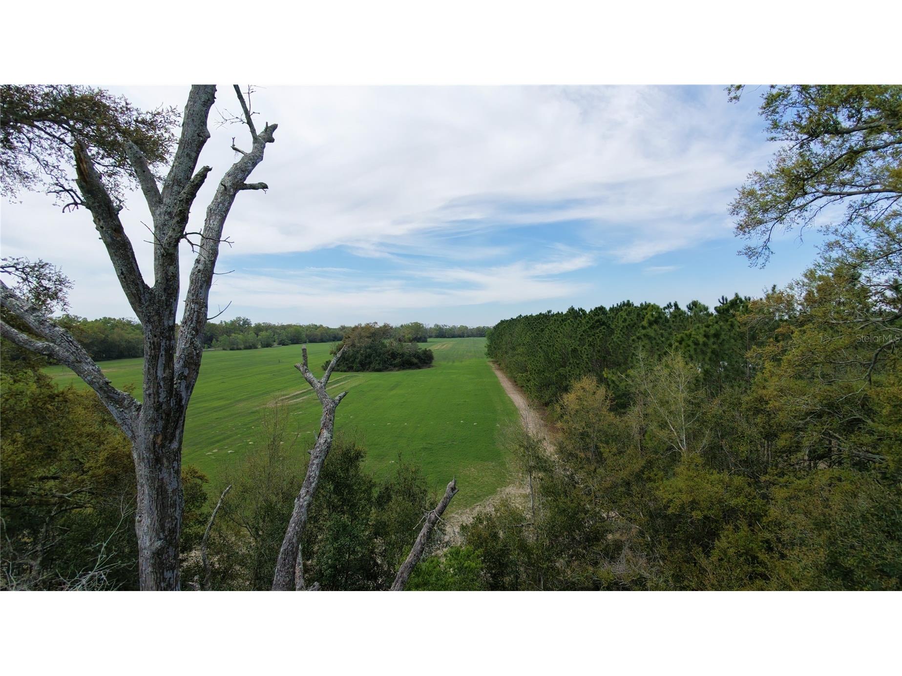 Sw Cr 344 Trenton FL 32693 O6390484 image1