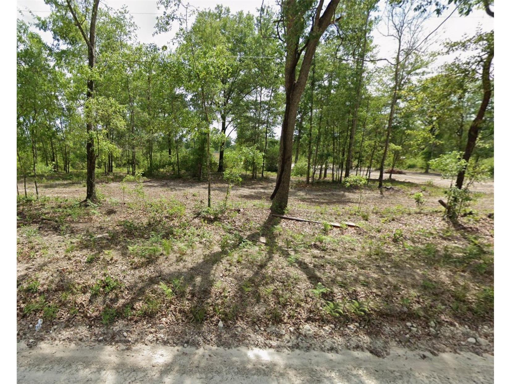 Sw Daisy Rd Lake City FL 32024 O6370507 image1