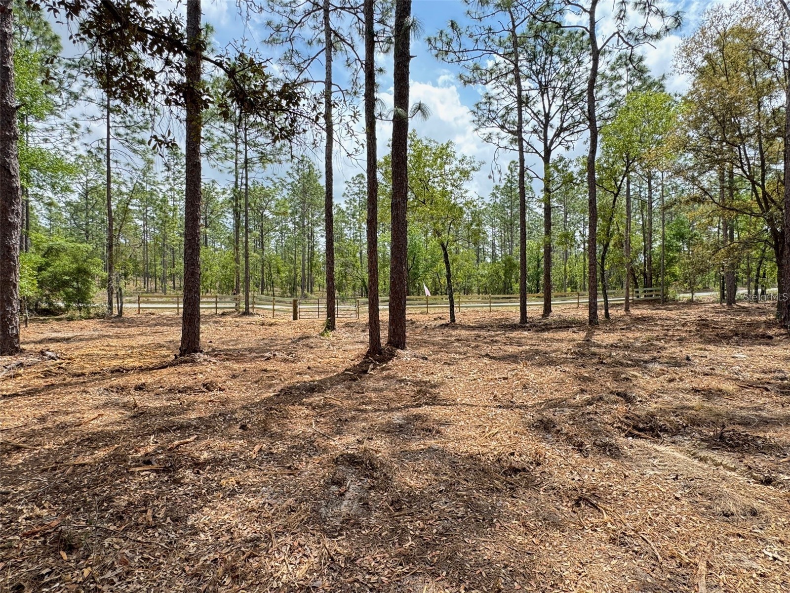SW Deerpark Heights Road Dunnellon FL 34431 G5113534 image4