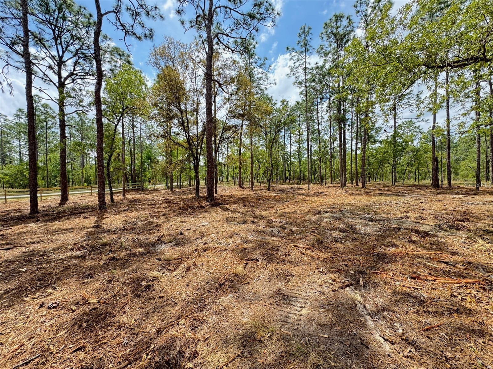 SW Deerpark Heights Road Dunnellon FL 34431 G5113534 image5
