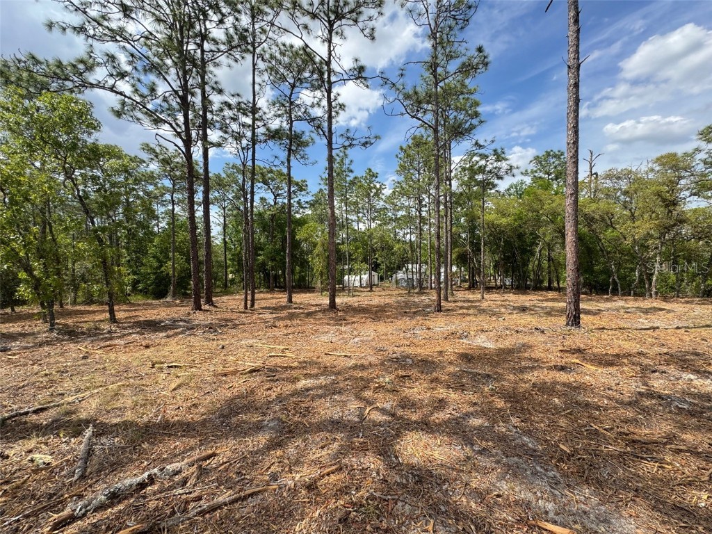 SW Edgewater Boulevard Dunnellon FL 34431 G5096453 image10