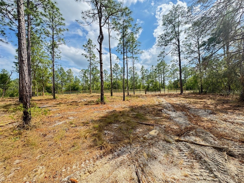 SW Edgewater Boulevard Dunnellon FL 34431 G5096453 image3