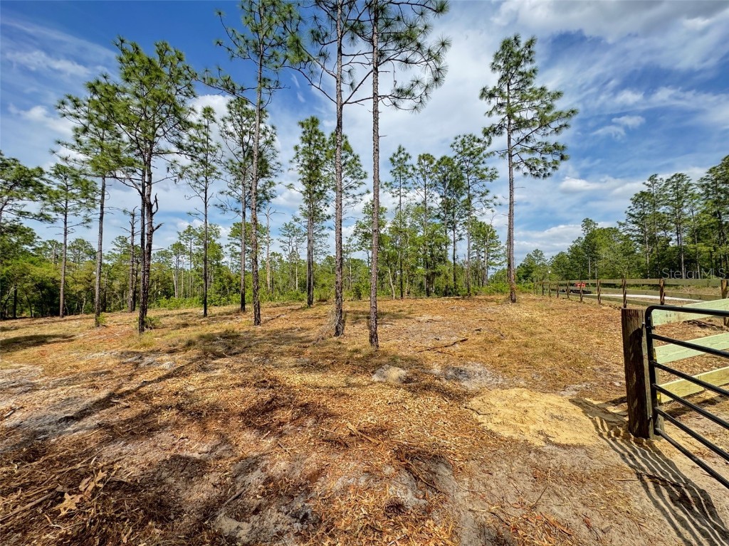 SW Edgewater Boulevard Dunnellon FL 34431 G5096453 image6