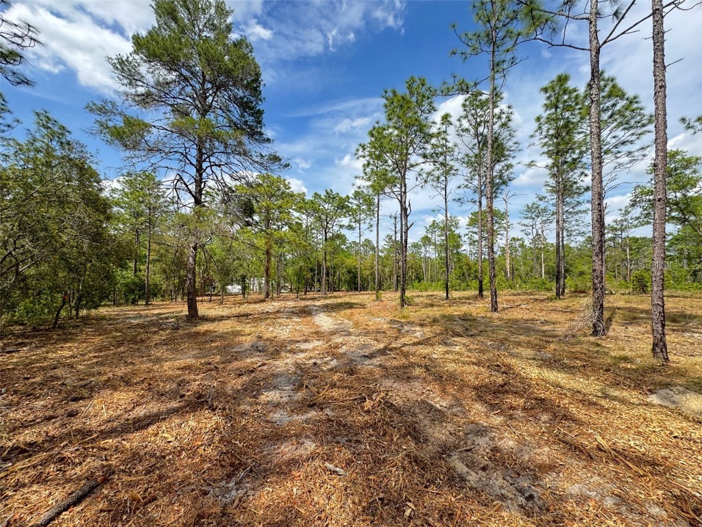 SW Edgewater Boulevard Dunnellon FL 34431 G5096453 image8