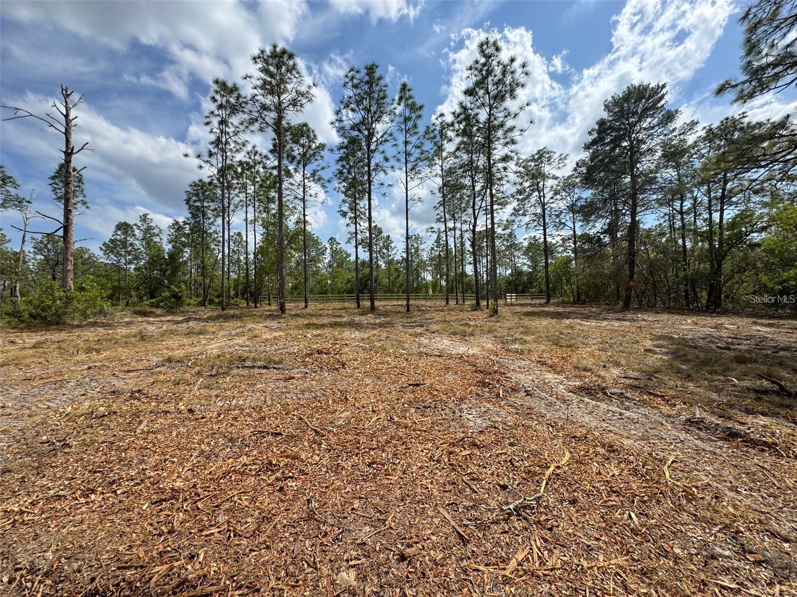 SW Edgewater Boulevard Dunnellon FL 34431 G5113955 image5