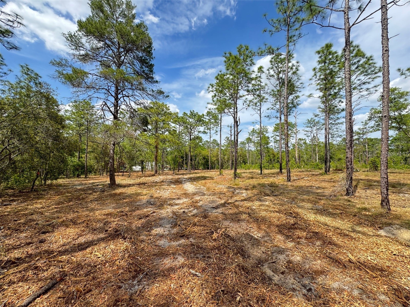 SW Edgewater Boulevard Dunnellon FL 34431 G5113955 image6